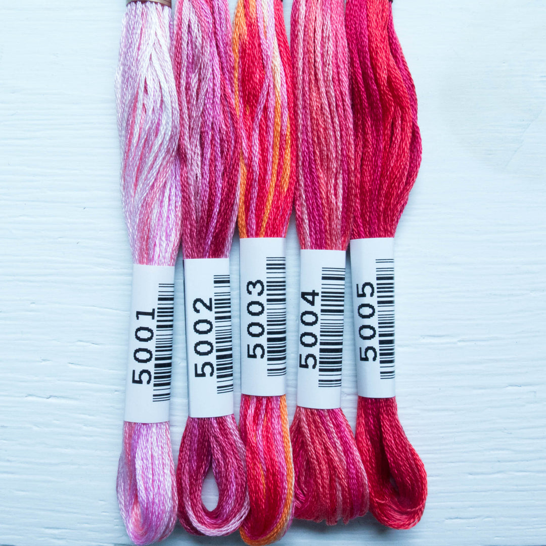 Hand Embroidery Floss - Cosmo Seasons Variegated #5005