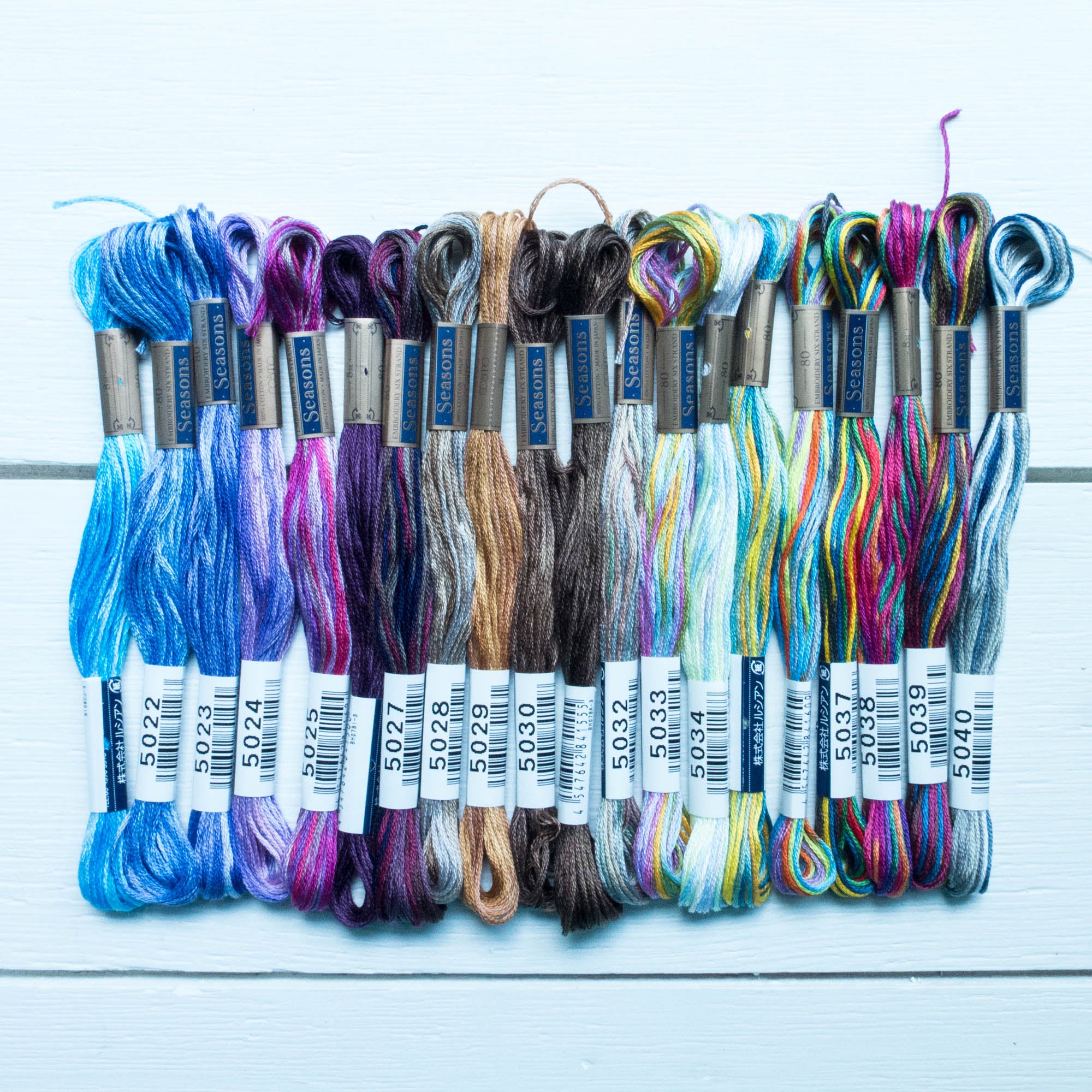Lecien Cosmo Seasons 5000 Variegated Embroidery Thread 5035