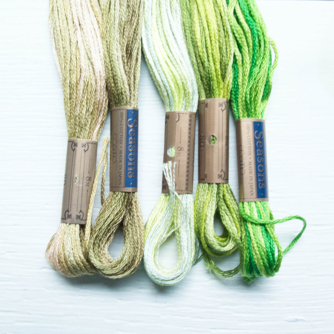 Hand Embroidery Floss - Cosmo Seasons Variegated #5013