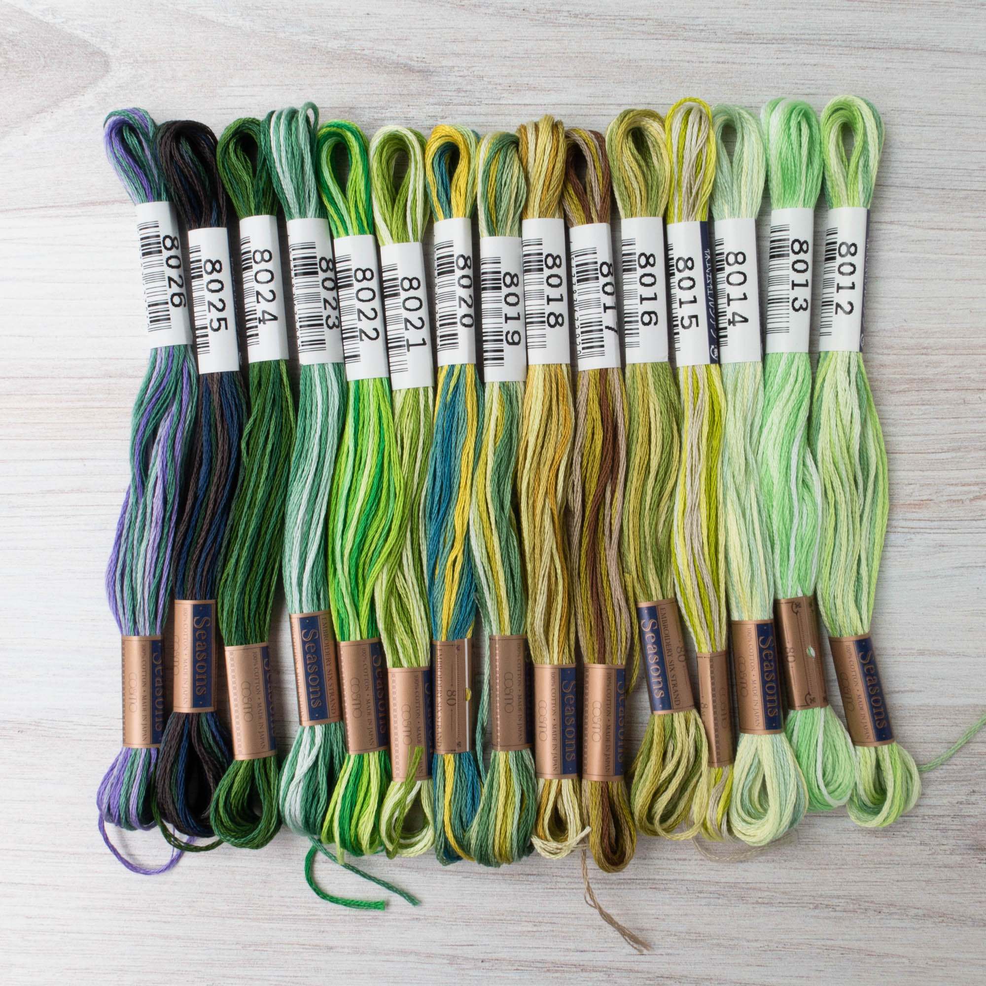Hand Embroidery Floss - Cosmo Seasons Variegated #9014