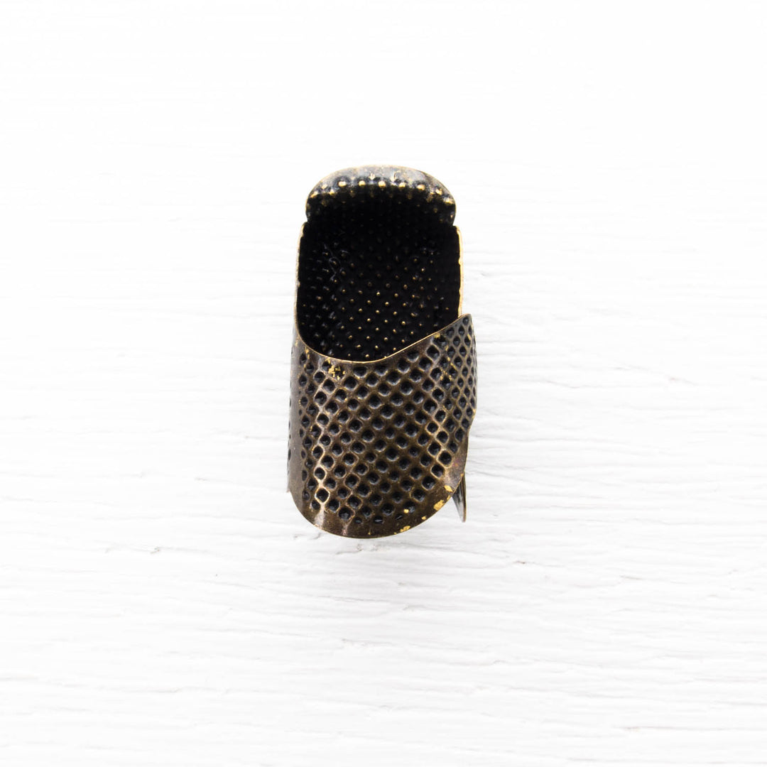 Metal Sewing Thimble Stock Photo - Download Image Now - Animal Body Part,  Animal Finger, Animal Shell - iStock
